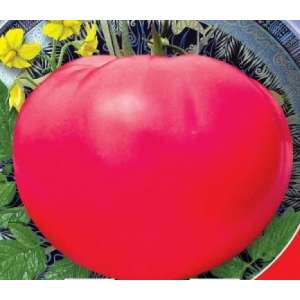Яблочный Спас- томат, 0,1 г семян, ТМ Семена Украины фото, цена